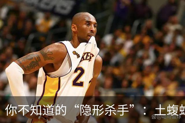 你不知道的“隐形杀手”：土蝮蛇的秘密
